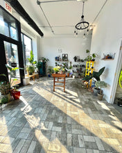Load image into Gallery viewer, Concrete Casting Class (Node Plant Shop) May 26th