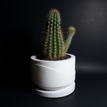 Load image into Gallery viewer, Layers Planter